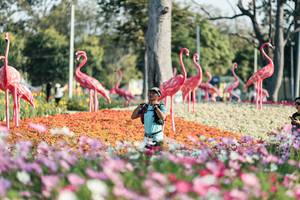 BIB: 
                            <button type="button" onclick="openModal(27344275)" class="btn btn-primary btn-sm float-right btn-popup" data-toggle="modal" data-target=".modal-high-quality">
                        <i class="fas fa-shopping-cart"></i> Add to Cart
                    </button>
                                            <button type="button" onclick="isThisMe(27344275, true)" class="btn btn-success btn-sm float-right btn-popup btn-isme hidden" data-toggle="tooltip" data-placement="bottom" title="นี่คือรูปของคุณใช่ไหม คลิกที่นี่เพื่อเอาเข้าอัลบั้ม">
                        <i class="fas fa-plus"></i> Add to album
                    </button>
                    <button type="button" onclick="isThisMe(27344275, false)" class="btn btn-warning btn-sm float-right btn-popup btn-isnotme hidden">
                        <i class="fas fa-ban"></i> Remove from album
                    </button>